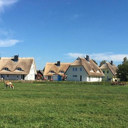 Reetdachhaeuser Boergerende Boergerende-Rethwisch Exterior foto